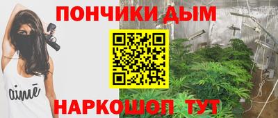 амф Бийск