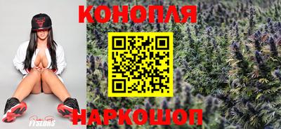 ПСИЛОЦИБИНОВЫЕ ГРИБЫ Берёзовский