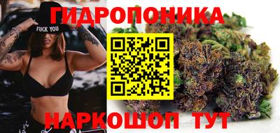 ПСИЛОЦИБИНОВЫЕ ГРИБЫ Берёзовский