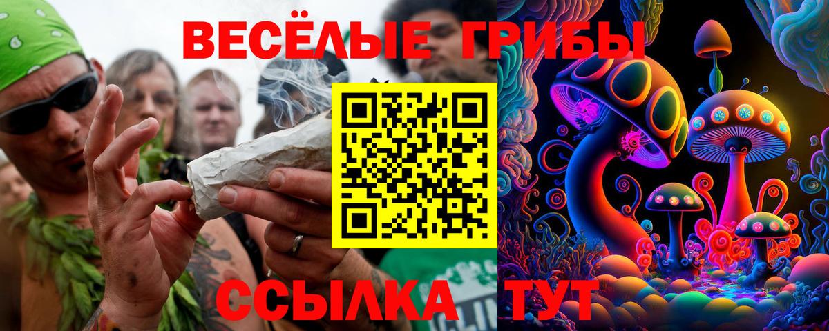 Калач-на-Дону  Галлюциногенные грибы мицелий  купить   Вход с VPN 